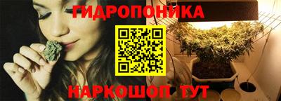 дмт Сланцы