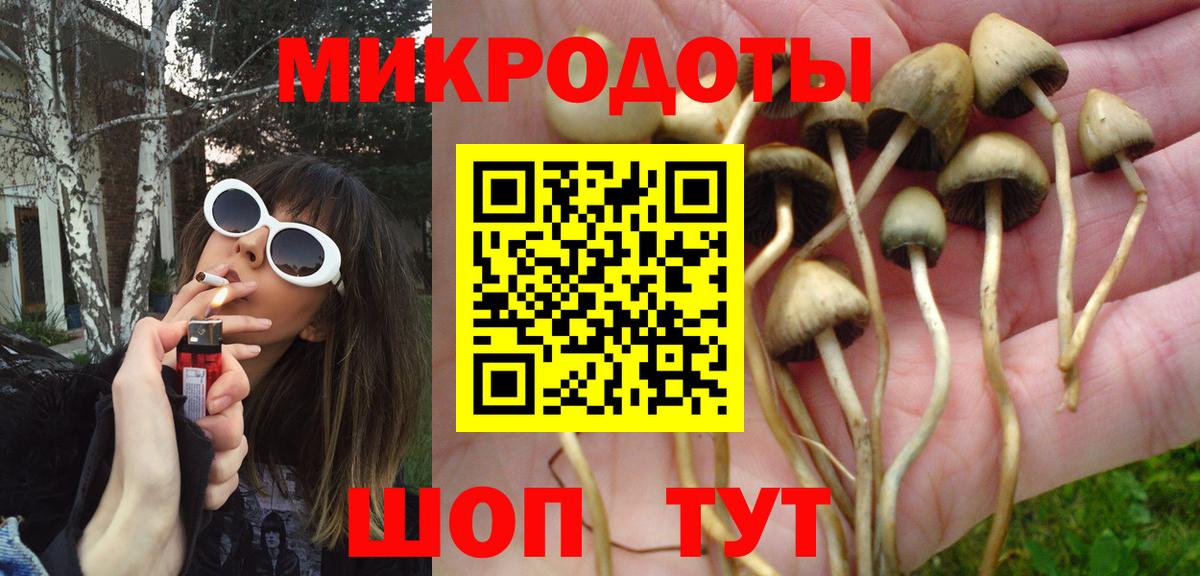 Псилоцибиновые грибы Psilocybe Моздок