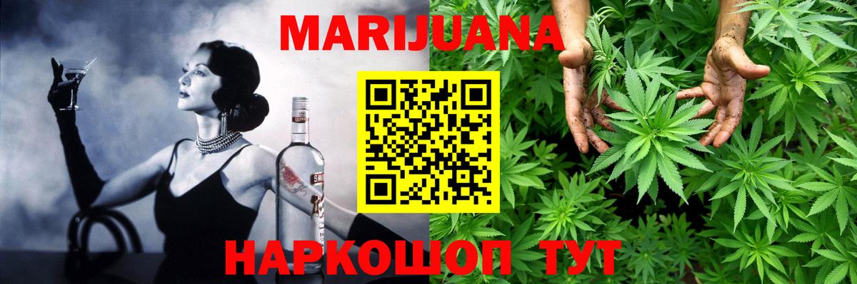 Каннабис планчик Моздок